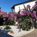 Sea View Terrace דירה *