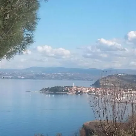 Apartment Sea View Terrace