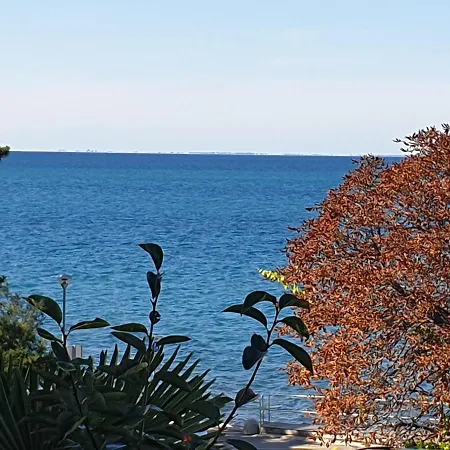 Apartment Sea View Terrace *